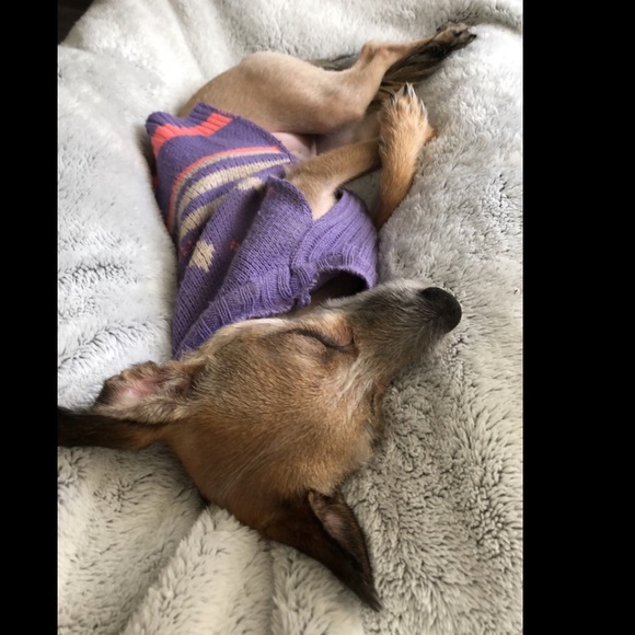 Meet your Posh Ambassador, Jessiee. - Picture 2 of 8